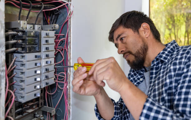 Best Electrical System Inspection  in Tyndall, SD
